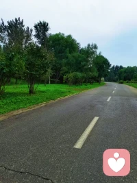 面對未知請多拿出一點勇氣， 每一次努力都在增加面對這個世界的底氣。人生有所失，才會有所悟。
今日小雨，淺秋時節，增加了些許清冷，但也少了很多嘈雜。結束了一個咨詢，抓緊時間讀書聽課，前進一步是一步。配圖