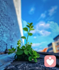 “真正的自由是一種精神狀態，其中沒有恐懼或勉強，沒有求取安全感的沖動。”——克里希那穆提 ???配圖