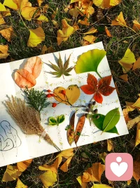 理解自己的情緒，是開始改變的第一步。不是所有的情緒需要被立刻處理，但所有情緒都不應該被忽視。如果你要更好地理解自己，就需要跟自己的情緒做聯結，并理解這些情緒。情緒緒不是敵人，學會與它們共處，你會更強大。 高情商的人都有強大的自我意識，了解自己的情感。配圖