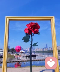 人類的一切痛苦根源，都源于缺乏邊界感。
                                  ——邦達列夫 ? ???配圖