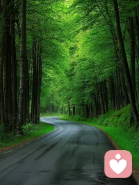 當一個人親身的體驗連接到了事物的源頭，他的思考，也就自然而然就觸及到了事物的本質。

所謂“深度思考”，其實就是深度體驗，生命本是一場對生命的體驗，體驗才是人生的本質。配圖