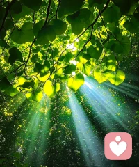 我們的所做所為，其實皆源自于我們的內在認知投射。

所以，困住我們人生步伐的從來不是任何人或任何事，而是我們的認知。

一個人的認知高度，決定了人生的高度。配圖