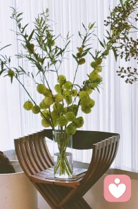 我們腦海里有很多低效的，錯誤的心智模式造成的扭曲認(rèn)知，只有打破那些思維模式，才能成為更好的自己。與其被認(rèn)知所束縛，不如利用認(rèn)知突圍。


正視自己的無知，消除固有偏見，才能發(fā)現(xiàn)事情真相，改變自己的命運。配圖