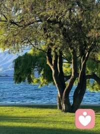 想要愛別人，必須先學(xué)會愛自己，否則就沒有辦法去守護那些你愛的人。“救世主情結(jié)”，會讓你忽略自身的需求和界限，讓自己陷入困境。
人與人之間的相處從來都是等價交換，當(dāng)你擁有強大的實力，所有的問題就都不是問題。
一切向內(nèi)求，檢視自己，回歸自己，才能獲得平靜和安定，掌控內(nèi)心。去打破固有的思維，這樣才能發(fā)現(xiàn)更完整的自己，擁抱更大的世界。配圖