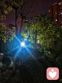 幾小時咨詢、幾小時的學習，忙碌充實過后，此刻盡情享受著夜色混合音樂帶來的靜謐與自由……配圖