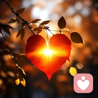 愛情中能讓對(duì)方離不開你的，從來不是你的可憐、討好、遷就，而是活得無比真實(shí)而清醒的你自己。
很多人缺乏獨(dú)立的人格，也沒有對(duì)自我價(jià)值的認(rèn)同。一旦在愛情中受挫，就會(huì)陷入極度的痛苦和絕望，無法自拔。當(dāng)你不再完全依賴感情，不再患得患失，不再畏懼孤獨(dú)，內(nèi)心才會(huì)真正強(qiáng)大。配圖