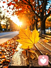 人都會有兩種傾向，第一個叫貪，就是什么都想要好的，第二個叫嗔，壞事都遠離我。貪和嗔都會使得我們看到這個世界不客觀，就會導致癡。
人很多的害怕，其實都基于未知和失控，把自己當成一無所有的人，讓自己活在當下，每一天都有不同的收獲。配圖