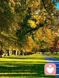 阿德勒心理學(xué)認(rèn)為：人不是環(huán)境或者過往的犧牲品，而是主角，一切取決于自己。

我們想要過什么的日子，成為什么樣的人，完全由自己決定。成為自己的主角，當(dāng)你擁有這種自我的主場意識，你不會在恐懼困難，那些通往勝利路上遇到的所有事情，都是劇本中的刷經(jīng)驗的副本，出現(xiàn)的惡人也好，出現(xiàn)的惡心事也罷，是來成就你的。成為自己的主角，愛自然豐盈于心，自然也會流淌出來。


你的世界，由你說了算。你可以顯化一切，只要你允許。配圖