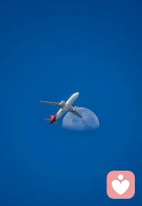 大多數人并不真的想要自由，因為自由包含責任，而大多數人害怕責任。配圖