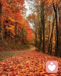 弱者之所以為強(qiáng)，并不是環(huán)境和天賦使然，而是和心態(tài)、信念息息相關(guān)。配圖