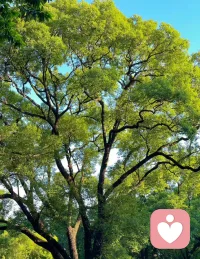 冥想是聯結內在指引的一種方式。當我們靜坐向內傾聽時，會更容易有意識地接收信息。冥想可以繞過腦海里的喋喋不休，進入較深的層次，與內在的智慧聯結，傾聽內在給出的答案。配圖