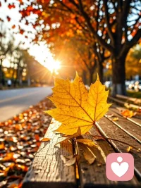 親密關(guān)系中需突破的卡點(diǎn)：
先理解和接納彼此最差的自己，承認(rèn)并接納自己最敏感脆弱的那部分；并且，這些部分也必須要在被對方真正理解和接納之后，彼此才能用真實(shí)和真誠來互相面對，共同牽手去成長。

現(xiàn)實(shí)生活中人們的做法恰恰與此相反，總是拿自己的優(yōu)點(diǎn)和最好的那部分去建立親密關(guān)系，卻拼命隱藏和否認(rèn)自己的另一些真實(shí)存在的部分。

事實(shí)是，任何不真實(shí)的東西，都不可能長久，遲早都會被表達(dá)出來，這是天之道。

沒有人會不接納對方好的部分，最需要親密的親密，恰恰是彼此不太好的那部分。配圖