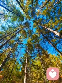 人性不是一臺可以按照模型制造出來，并被設定為嚴格按照其規定去做工作的機器，而是一棵樹，需要根據使其成為生命體的內在力量的傾向，向著各個方面生長和發展。配圖