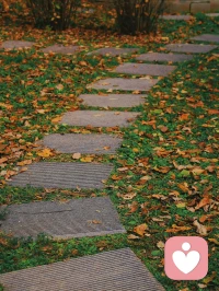 晚秋不寒  日暖晴好  歲序清安
?配圖