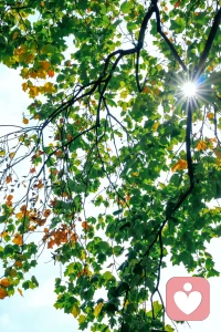 只要我們還在感受世界，感受季節、陽光、風、氣味，感受愛、愉快、痛苦、疲憊，只要感知力還在.生活就不會過的太糟糕。新的一天，一起努力好好地活在當下。配圖