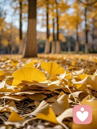 如果事事如意，
那就不叫生活。 
生活是一邊失去，
一邊擁有。終有一天，
你會面對曾經讓你痛苦的傷口。
                           —— 《次第花開》 ?配圖