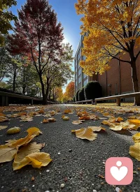 在每一個嶄新的一天，告訴自己努力總能遇見更好的自己，不是生活有意思， 是你熱愛生活它才有意思；優秀的生活狀態，不是仰望別人，而是把自己活成一道風景。早安。 ?配圖