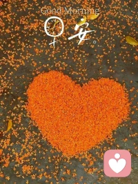 不要著急，最好的總會在最不經意的時候出現，所以不必慌張地去趕路，按自己的節奏，步履不停地走過每個今天。
      ——泰戈爾 ???配圖