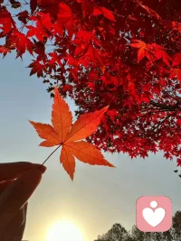 精神分析認為，任何喪失都會導致哀傷，讓哀傷的情緒情感自然流動，最終在情緒過程、身體過程和頭腦過程中都接受這份喪失的發生，這個完整的過程就是哀傷過程。

當哀傷過程沒有很好的進行時，一個人的能量就會仍然滯留在和這個喪失較勁上，如果這件事中聚集了太多的能量，那會導致一個人沒有心理能量去做其他事情。配圖