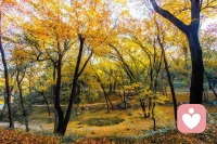 所謂活的真實，就是真誠的回應(yīng)當(dāng)下的需求，就能打破從童年延續(xù)而來的因果循環(huán)。讓真實的自我擺脫過去經(jīng)歷的束縛，在自由中成為真正的自己。配圖