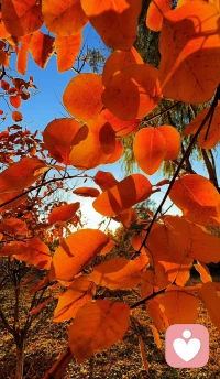 在咨詢過程中，我們不僅用頭腦去思考。要用情感去體驗。雖然你開始在理智上理解自己的行為。但要充分理解自我，唯有通過和自己的情緒做連接。當你對情緒的感受越來越清晰時，你就能明白他們并非可有可無，也不會對他們不聞不問，因為情緒正是自我的核心。是探索自我，了解自我，非常重要的一條通道。配圖