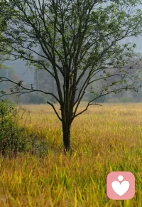 人與人之間任何依附的關系，到最后都會被證明為最差的關系。配圖