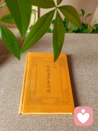 莫向外求，如是觀照，自凈其意。配圖