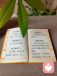 莫向外求，如是觀照，自凈其意。配圖