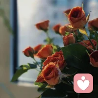 带着一份知足，慢度当下，带着一份向往，笑迎未来，早安！ ​配图