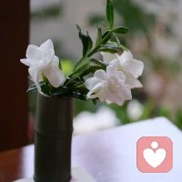 人最大的运气不是捡到钱，而是碰到一人，带你提高思维，打破认知，拓展眼界…带你走向更好的领域，这才是贵人。配图