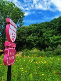 唐.米格爾.路易斯，曾說過：“我們最大的恐懼不是死亡，而是涉險(xiǎn)而生。活著，并且表達(dá)真實(shí)的自我。”
人們對(duì)“展現(xiàn)真實(shí)自我”的恐懼，甚至超過對(duì)死亡的恐懼——因?yàn)檎鎸?shí)的自我往往關(guān)聯(lián)著天賦、潛能和獨(dú)特性，而我們可能害怕因此被評(píng)判、被孤立，或是“不配”擁有這樣的光芒。
 這種“畏縮地活著”的狀態(tài)，本質(zhì)上是對(duì)自我價(jià)值的壓抑。而勇敢活出真實(shí)，才是對(duì)生命最深刻的尊重。