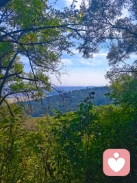 今日早起线下一个咨询，晚上线上一咨询，白天爬了座山，主打一个充实加愉悦！
攀登的意义，不在于征服，而是每一步都离天空更近一点，也离自己更近一点。