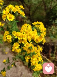 今日早起线下一个咨询，晚上线上一咨询，白天爬了座山，主打一个充实加愉悦！
攀登的意义，不在于征服，而是每一步都离天空更近一点，也离自己更近一点。