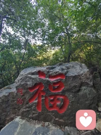 生命是用来体验的，不是用来预演的；生活是用来经历的，不是用来设想的。当你能够放下对未来的过度思虑，专注于当下的每一刻，就会发现，生活也没那么复杂。每天能正常醒来，有吃有穿就是好日子！早安！