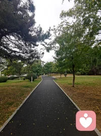 晨起诵经、做咨询，中午案例研讨、然后切换到慢跑四公里中，调动一下能量。人生能够掌控的很少，能够体验的很多……带着对当下的觉知，过好每一天，足矣！配图