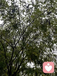 晨起诵经、做咨询，中午案例研讨、然后切换到慢跑四公里中，调动一下能量。人生能够掌控的很少，能够体验的很多……带着对当下的觉知，过好每一天，足矣！配图