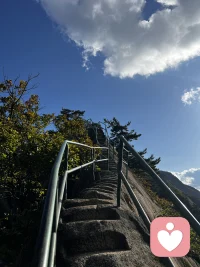 每一个情绪背后,都有一个未被满足的渴望。焦虑背后可能是对安全的渴望,悲伤背后可能是对连接的渴望,愤怒背后可能是对尊重与界限的渴望。
情绪最深的地方,不是你伤痛的地方,而是你灵性发芽的地方。