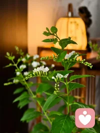 永远不要去责怪你生命里的任何人。好的人给你快乐,坏的人给你经历,最差的人给你教训,最好的人给你回忆别人怎么对你,那是因果。你怎么对别人,那就是修行。
  
    ————宗萨仁波切