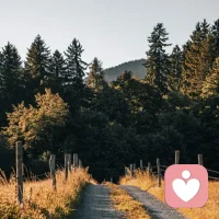 人的一生，常常像是在迷霧中行走，不斷尋找自己、定義自己，到了某一個階段然后又懷疑自己、打破自己，然后重新開始。我們可能會在經歷一些事情后突然躍升至下一個階段，也可能在某個階段停留很長時間，甚至出現暫時“倒退”，但每一次循環，都帶著更深的了悟和更堅實的自己。早安，新的一天，心的開始！配圖