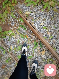 我們之所以內(nèi)心會有沖突，是由于我們內(nèi)在并不是一個連成一片或者像一塊鐵板一樣的人格。我們的內(nèi)心也像一個眾生世界一樣，在眾生當(dāng)中有些有著此種欲望，有些有著彼種欲望。

很多時候可以與我們內(nèi)心的“眾生”的欲望挨個打照面，我們要像一個非常好的領(lǐng)導(dǎo)一樣去傾聽我們內(nèi)心“眾生”的疾苦，只有這樣，我們內(nèi)在的每一部分才能被認(rèn)可。當(dāng)他們被認(rèn)可的時候，就沒有必要像發(fā)生一場奪權(quán)的爭斗一樣，爭先恐后的進(jìn)入行動的狀態(tài)。我們要學(xué)會照料他們，但是這種照料并非縱容，也非禁止，而是我們要挨個的與我們內(nèi)在的欲望接觸、認(rèn)可、連接，繼而把它整合到我們整體人格當(dāng)中。這樣一來，我們的整體人格兒會變得越來越豐富，越來越有動態(tài)性。配圖