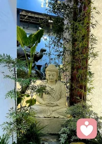 【聚焦可控，擁抱無(wú)常】
?
你說(shuō)了不算的是命運(yùn)安排，
說(shuō)了算的是面對(duì)命運(yùn)的心態(tài)與行動(dòng)。

                     ?配圖