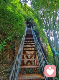 人生沒有標準答案，
不必模仿別人，
接納自己的節奏，
就是最好的活法。

?