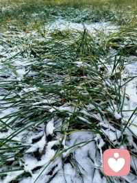 一個人之所以有意思，是因為為自己創建了一個豐滿的內心世界。這個能力來源于大量閱讀，習慣性思考，放緩腳步與自己深度對話。