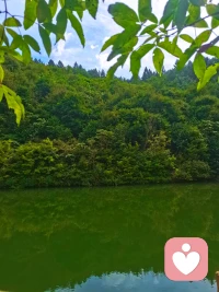 別人的惡意和憤怒，是他的課題。而你的平靜和進步，才是自己的戰場。你的目標是穿過沼澤地，而不是對付每一條鱷魚。