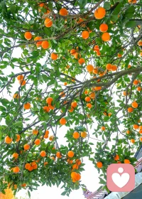 当真正做上喜欢和擅长的事情，精力和才华都会不请自来。
新的一天，继续专业上的学习，打磨自己。
​配图