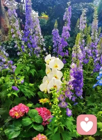 惊蛰至，春风起，所有美好，都在醒来的路上。配图