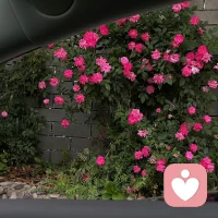 生活是一边播种，一边收获的过程。我们因此收获了更多难以言说的生命体验。