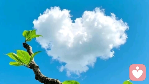 读懂焦虑：它不是敌人，而是心灵的预警