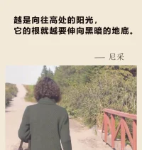 其實人跟樹是一樣的越是向往高處的陽光，他的根就越要伸向黑暗的地底不能聽命于自己者就要受命于他人——尼采