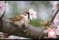 [玫瑰]孩子的叛逆、厭學表象后面的真相是什么？父母的高期待，時代的焦慮感，讓孩子找不到學習的幸福和成就感。一個活丟了自己的孩子，不知道自己為什么來到這個世界上，價值是什么，那么他/她怎么能活的起......配圖